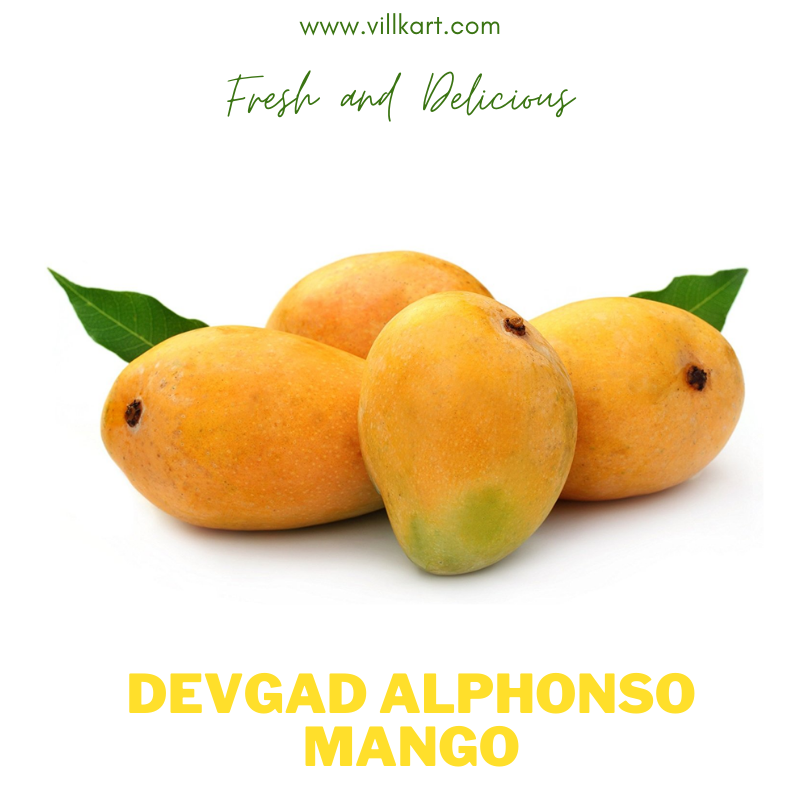 Buy Devgad Alphonso Mango Online | Devgad Hapus Mango | Villkart