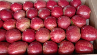 Kinnaur Apple (5kg Box)