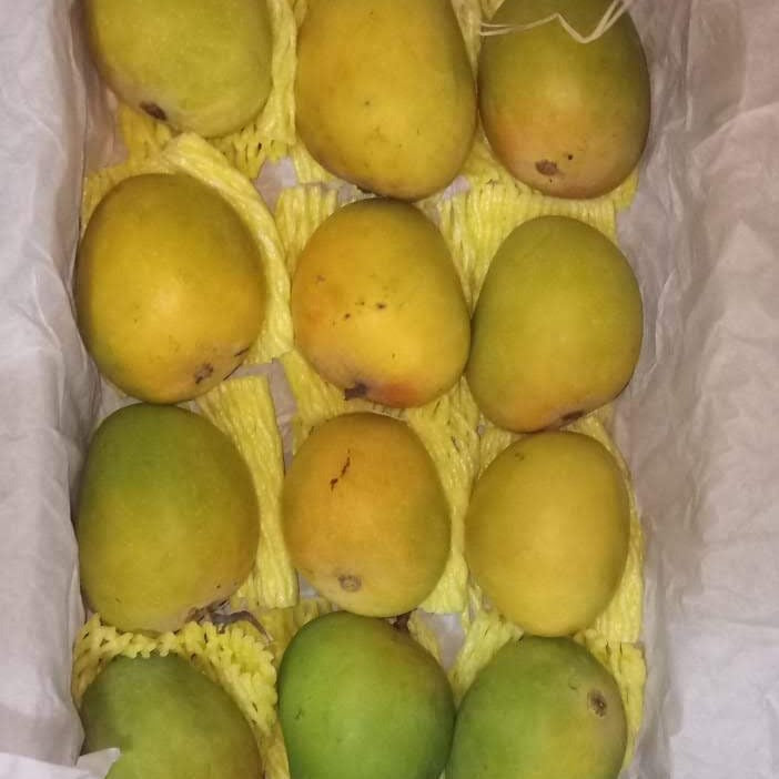 Devgad Alphonso Mango