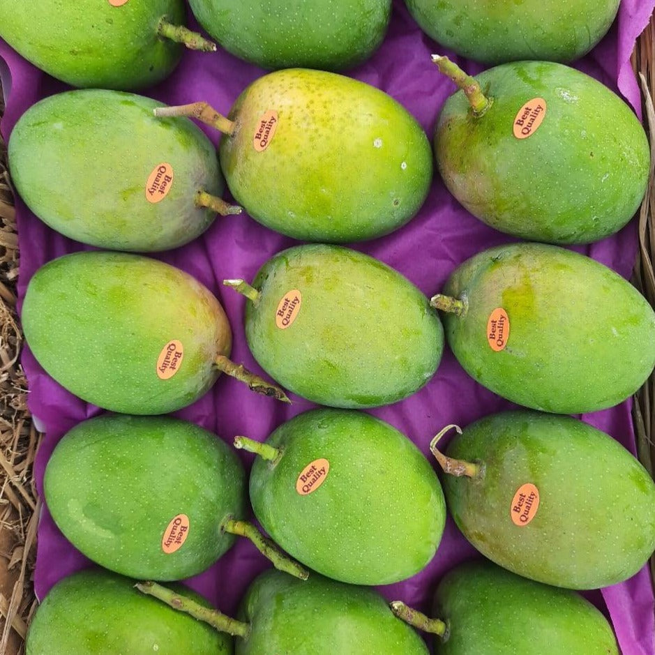 Devgad Alphonso Mango
